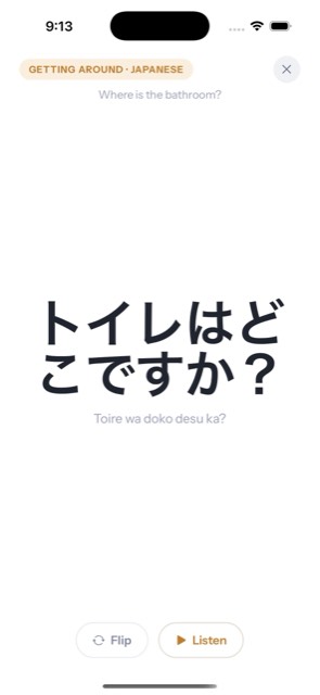 A Japanese phrase blown up full-screen, ready to hand to a local